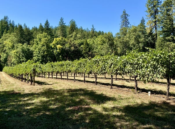 350 Mona Way, Cave Junction, OR 97523