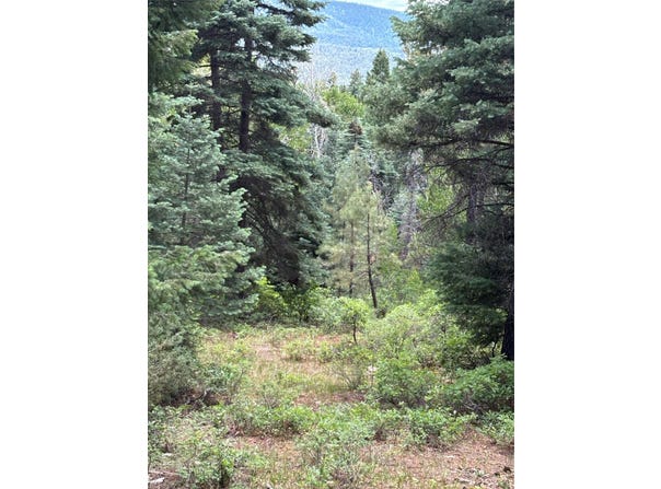 Tbd SPRUCE TRAIL LOT 2, Chama, NM 87520