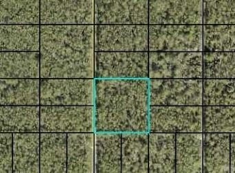 000 DILLON Avenue, HASTINGS, FL 32145