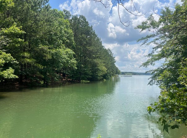 STONEY POINT lot: 83, Double Springs, AL 35553