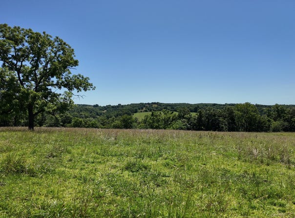 000 County Rd 945, Thornfield, MO 65762