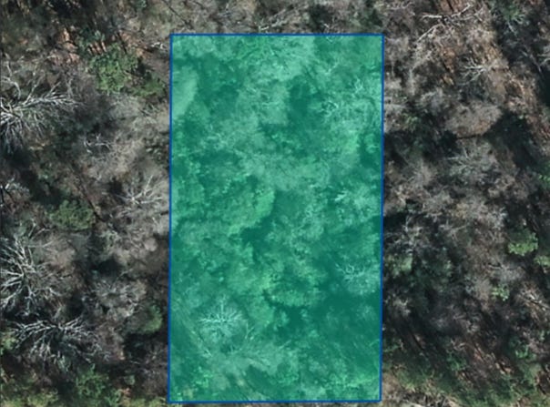 Lot 3 Morningside Drive, Albertville, AL 35951