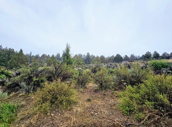 Lot 78 Mason Street, Sprague River, OR 97639