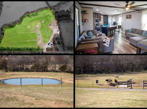 547 Bugscuffle Rd, Wartrace, TN 37183
