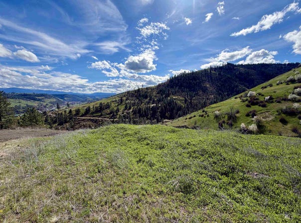 Hidden Canyon Road, Kooskia, ID 83539