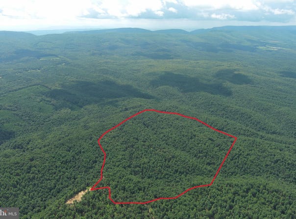 113 ACRES OFF CAPON SPRINGS ROAD, YELLOW SPRING, WV 26865