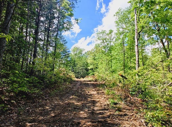 163 Megan Trace Lane, Turtletown, TN 37391