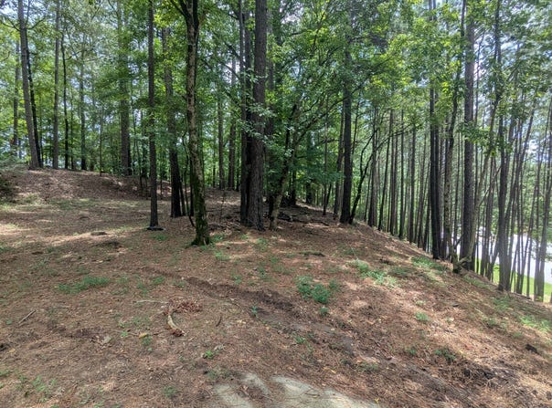 3779 Lawrenceville Suwanee Road, Suwanee, GA 30024