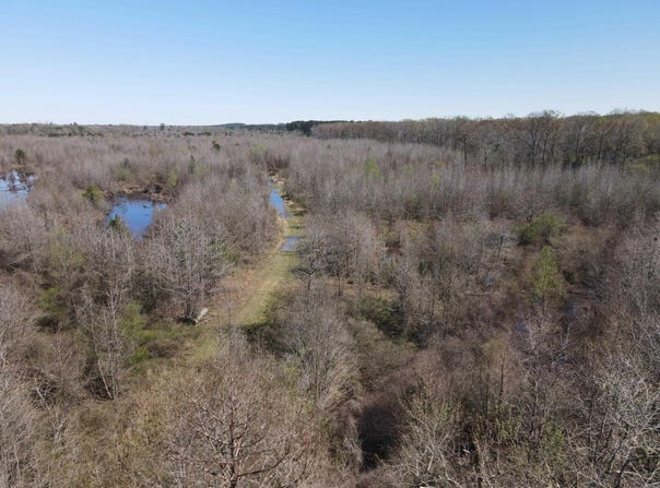 Camden Hwy, Prescott, AR 71875
