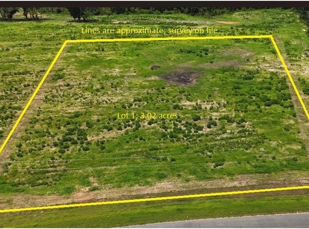 0-Lot 1 County Road 17, Headland, AL 36345