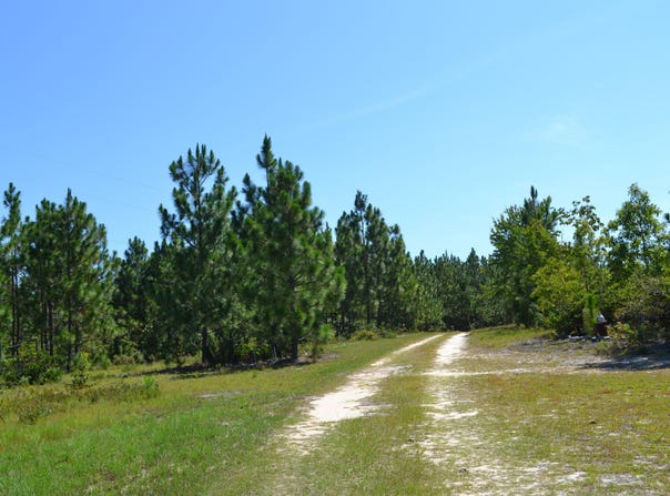 5308 Enigma Drive, Windsor, SC 29856