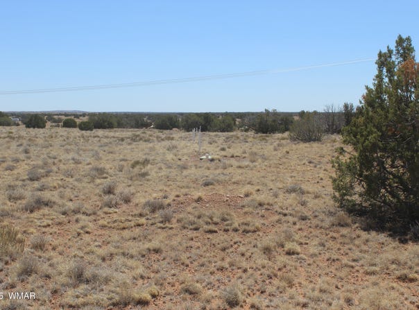 5999 Mesa View Lot 149 Drive, Heber, AZ 85928
