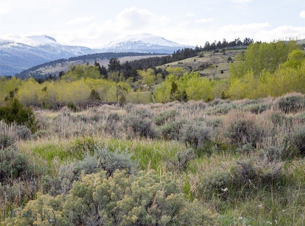 Wey's View lot: 4, McAllister, MT 59740