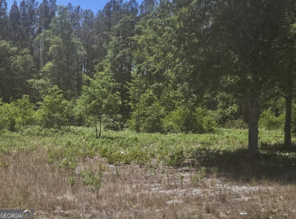 Edgar Lane Road, Millen, GA 30442