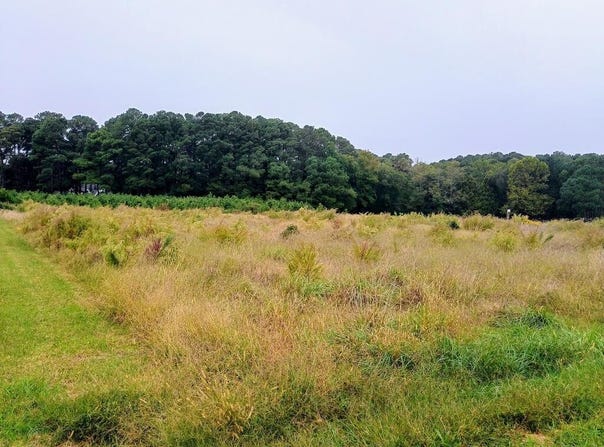CHURCH NECK RD lot: 41, MACHIPONGO, VA 23405