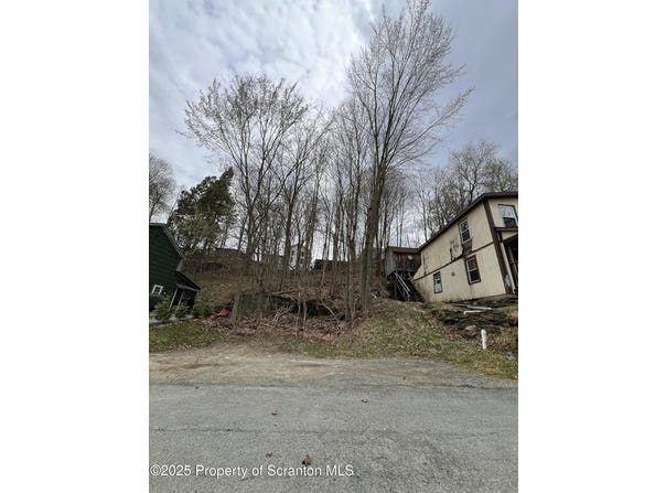 Willow Avenue, Susquehanna, PA 18847