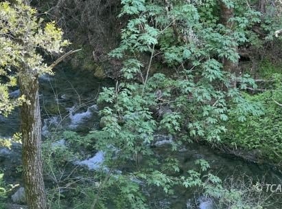 1500&1551 Reading Creek Rd., Douglas City, CA 96024