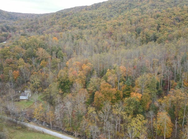 0 North Fork Rd 93.32 Acres, Amherst, VA 24521