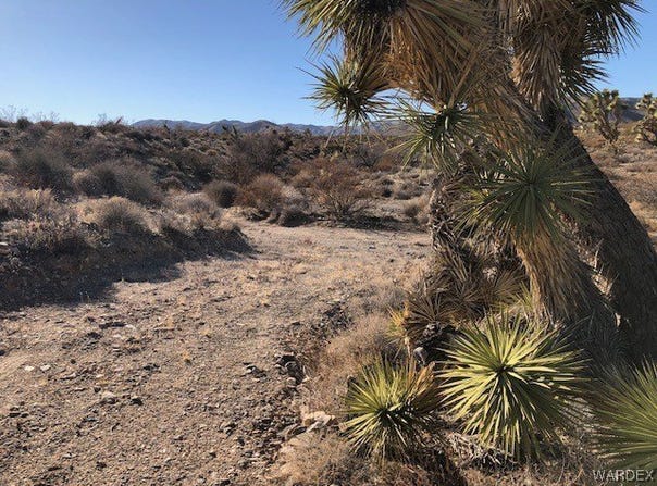 W Sarari Drive lot: 301, Meadview, AZ 86444