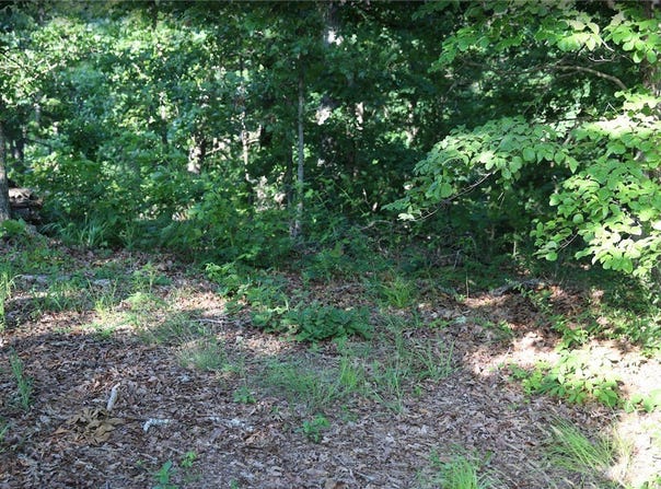 Thaxted Drive lot: 12, Bella Vista, AR 72715