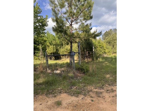 0000 Bryant Ln., Magee, MS 39111