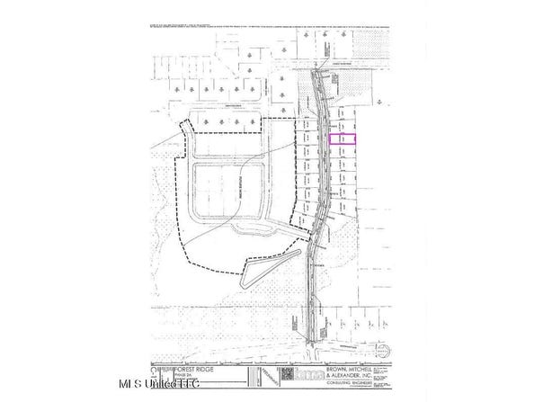 Orchard Street, Gulfport, MS 39503