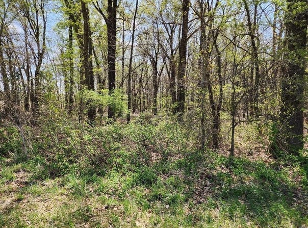 0 S County Road 268, Neelyville, MO 63954
