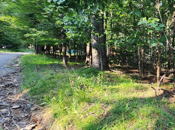 Lot 8 Apache Trail, Fancy Gap, VA 24328