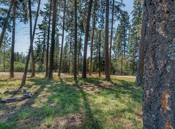 NHN Yenne Point Road, Bigfork, MT 59911