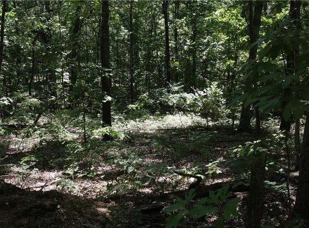 Lot 11, Block 2 Kettering  LN, Bella Vista, AR 72714