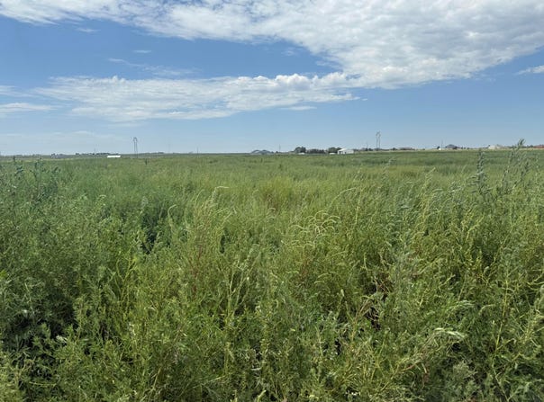0 Blessen (BT22) Road, Amarillo, TX 79124