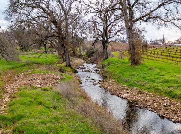 19944 Shenandoah School Rd, Plymouth, CA 95669