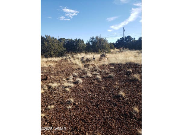 1786 Doughty Place, Show Low, AZ 85901
