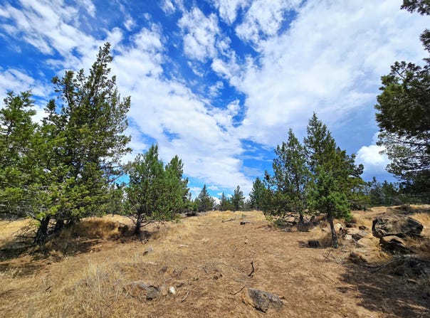 Canvasback Drive, Bonanza, OR 97623