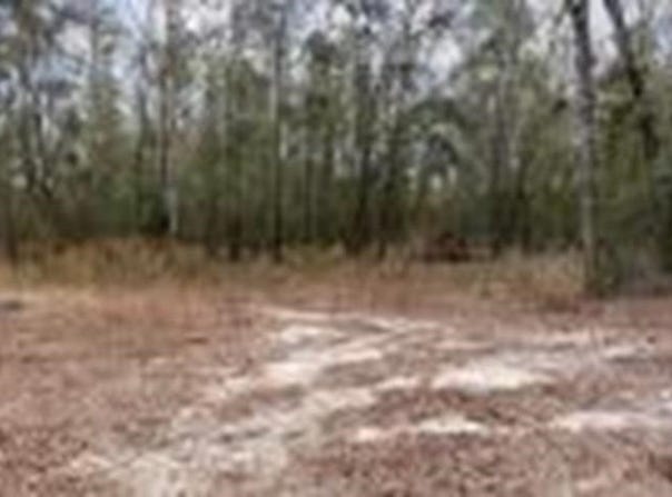 5206 SW 57Th Court, Jasper, FL 32052