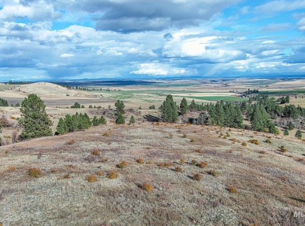 Tbd Over Yonder Road, CottonWood, ID 83522
