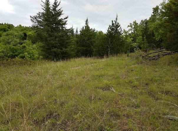 2244 Highway 355 South, Saratoga, AR 71859