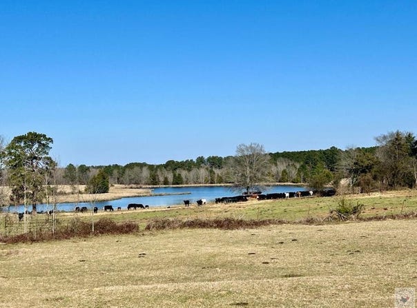 1805 CR 3778, Queen City, TX 75572
