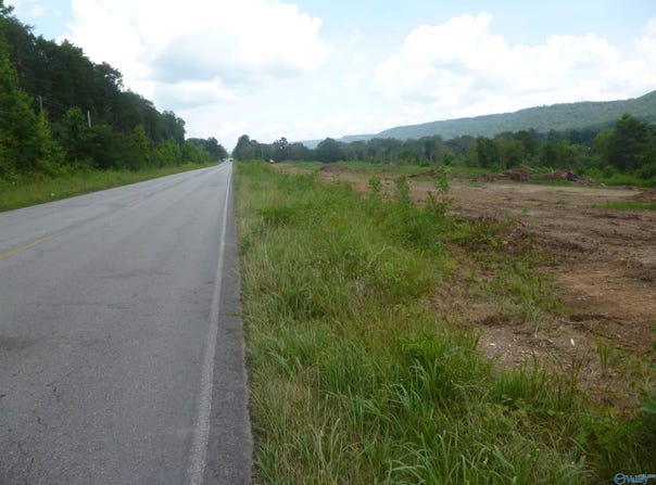 6900 County Road 137, Valley Head, AL 35989