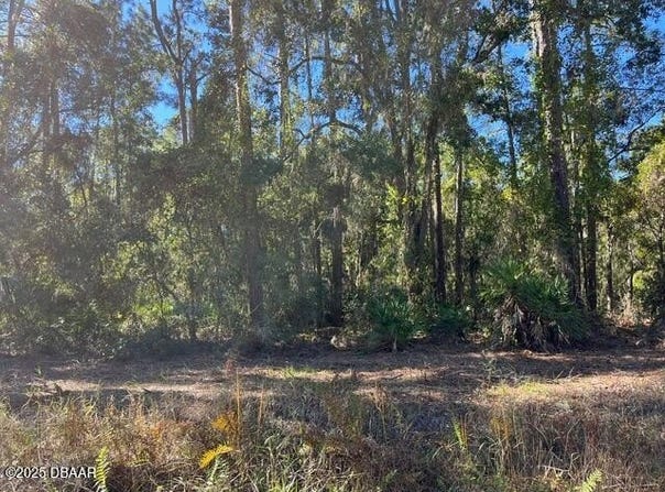 125 E Boundary Drive, Georgetown, FL 32139