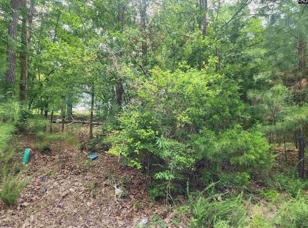 Forest Ridge Drive, Newberry, SC 29108