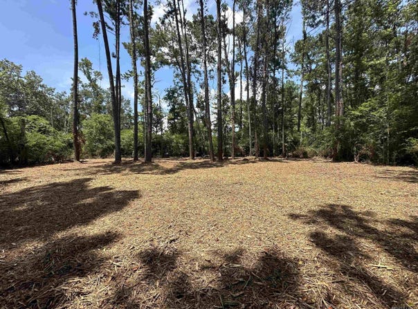 1580 Norma Dr, Denham Springs, LA 70726