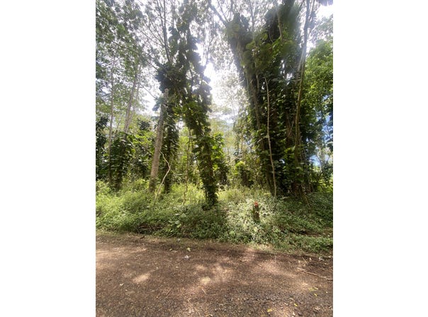 HILO RD, Pahoa, HI 96778