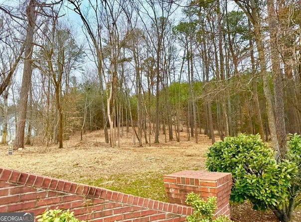 1 Magnolia, Summerville, GA 30747