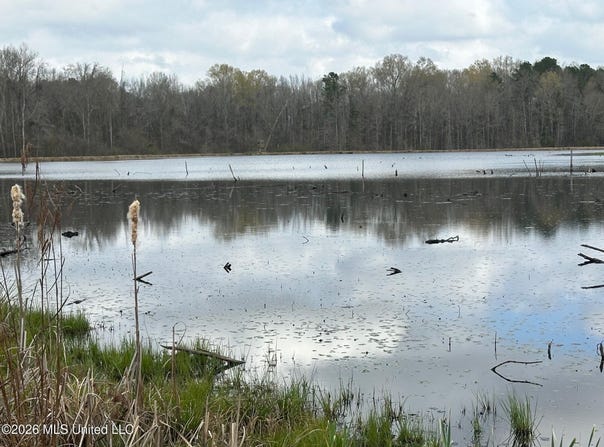 23 Acres Barnes Road, Florence, MS 39073