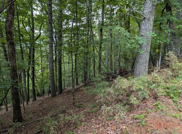 Chestnut Hill Dr, Franklin, NC 28734