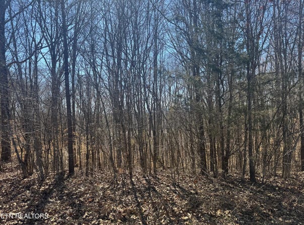 Lot 71 Saddle Ridge Drive, Speedwell, TN 37870