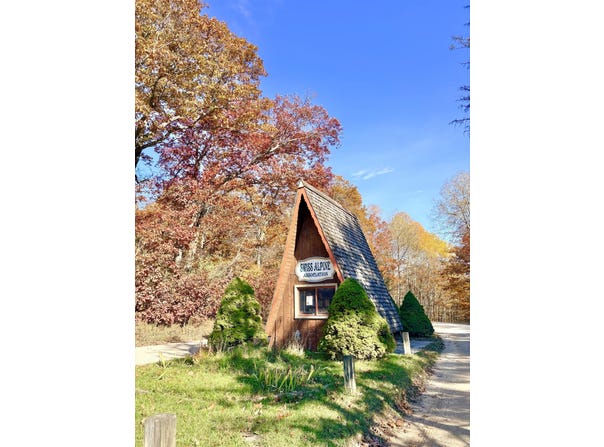 Schwyz Drive, Reed City, MI 49677