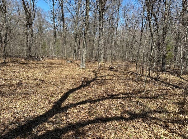 7056 Oakwood Parkway, Webster, WI 54893