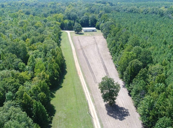 9705 Braggs Rd, Greenville, AL 36037